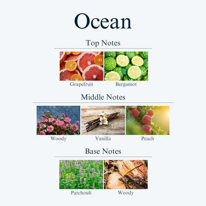 top, middle and base notes for Ocean scent