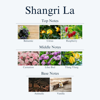 top, middle and base notes for Shangri La scent