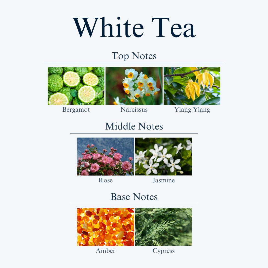 top, middle and base notes for White Tea scent